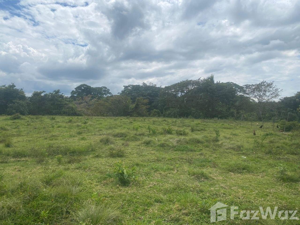 🌿 EXCLUSIVE INVESTMENT OPPORTUNITY IN MUÑOZ 🌿 — photo 4