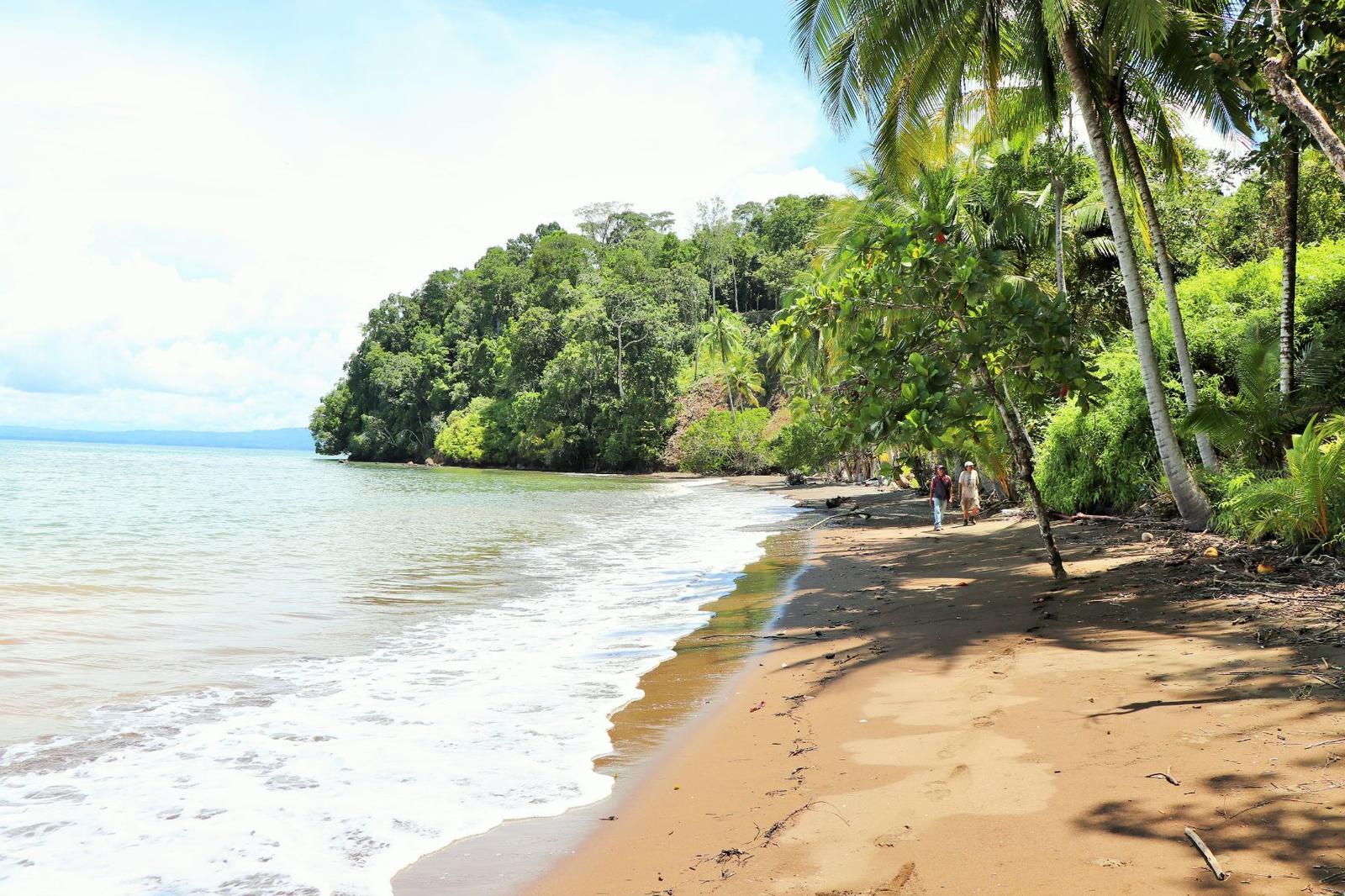 68 Hectares of Agricultural Land for Sale, Piedras Blancas National Park, Ojochal, Puntarenas — photo 2