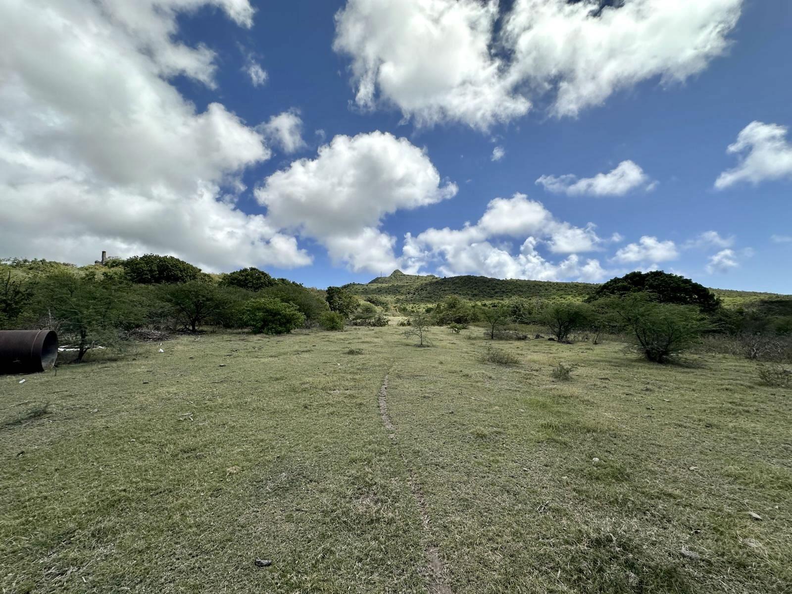 1 Acre Lot for Sale, Busch Hill, Nevis — photo 4