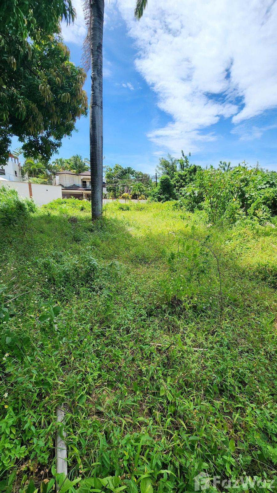 INVESTMENT OPPORTUNITY IN PUERTO PLATA — photo 4
