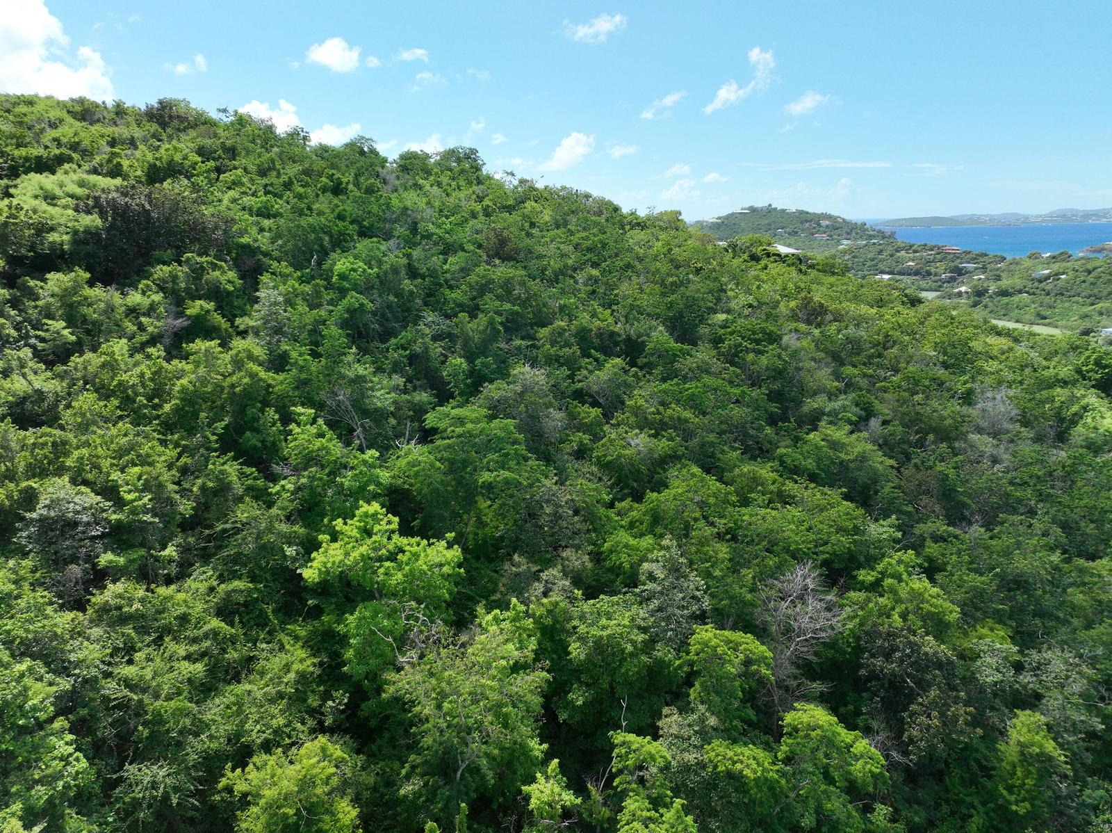 Land for sale - 15f Rendezvous & Ditleff, St. John, Virgin Islands (u.s.) — photo 4