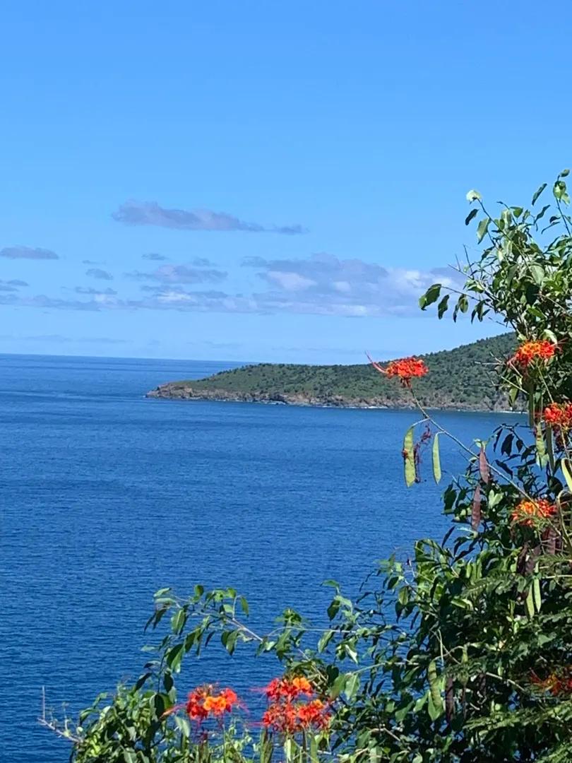 1.03 Acre Homesite Parcel with Panoramic BVI and Ocean Views — photo 1