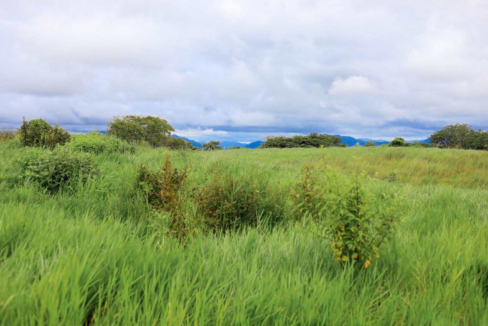 1.24 Acre Ocean-View Lot for Sale, The Ark, Santa Teresa, Costa Rica — photo 4