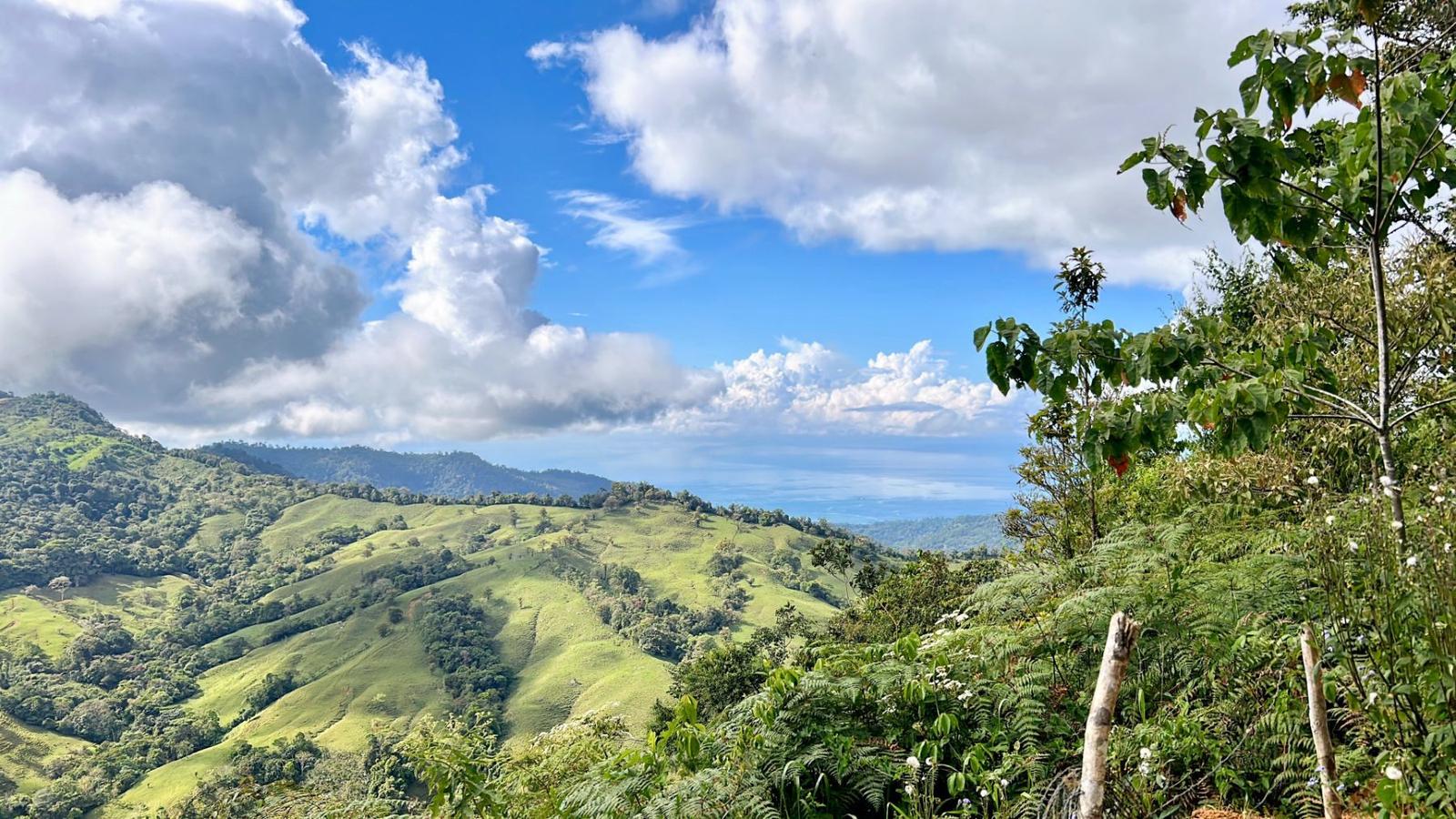 45 Acres of Farm Land for Sale, Uvita, Puntarenas, Costa Rica — photo 3