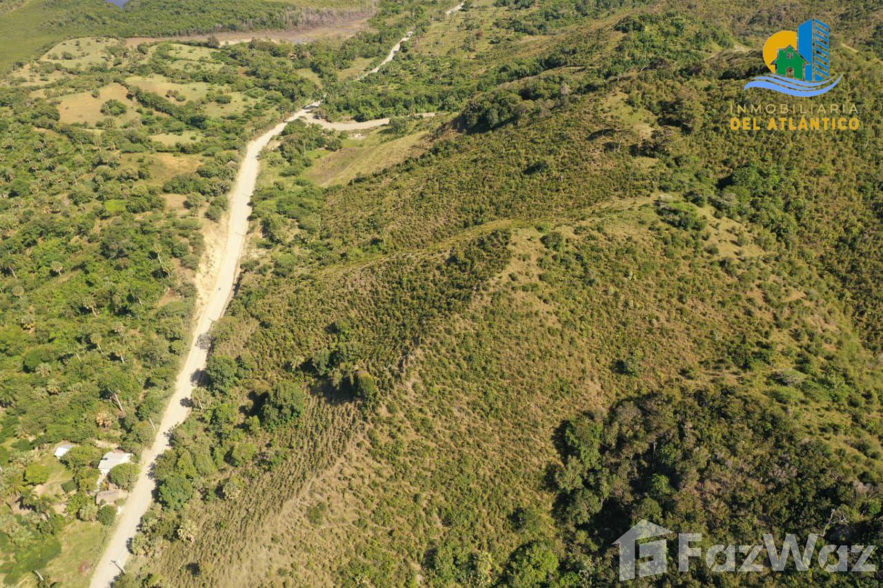 Land for sale by the meter with sea view in San Felipe De Puerto Plata — photo 4