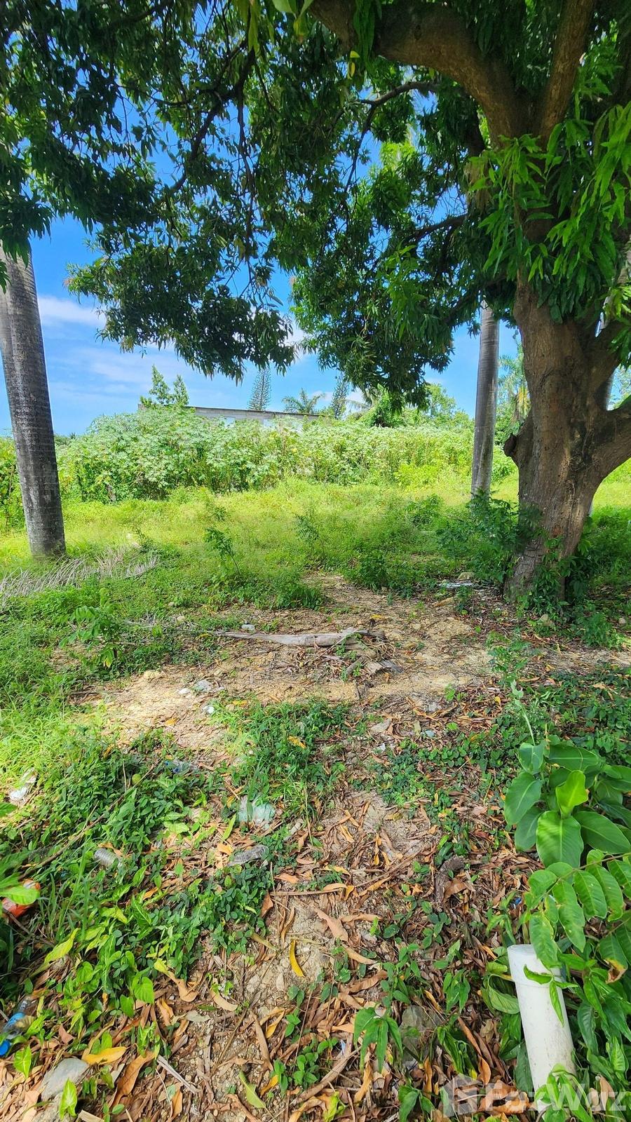2000 SqM Land Plot for Sale in San Felipe De Puerto Plata — photo 2