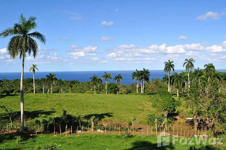Hillside Land with Sea and National Park View in Trinidad Sanchez — photo 2