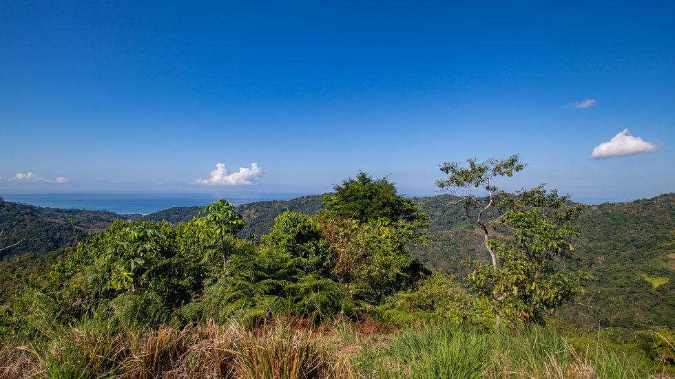 34 Acres of Farm Land for Sale, Platanillo, Puntarenas, Costa Rica — photo 3