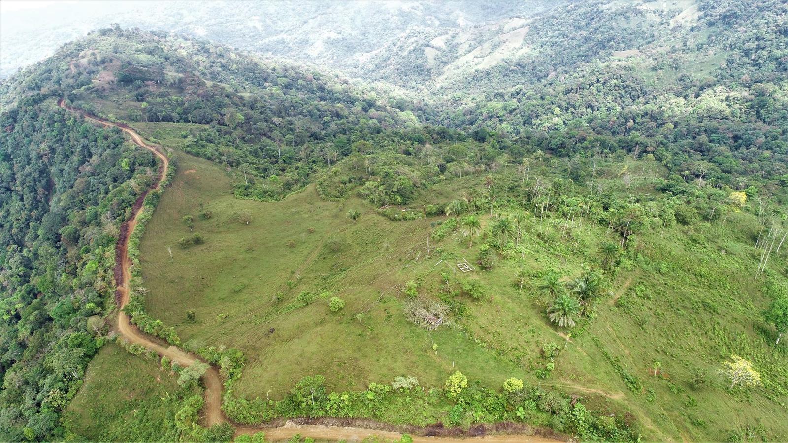 276 Acres of Farm Land for Sale, Uvita, Puntarenas, Costa Rica — photo 4