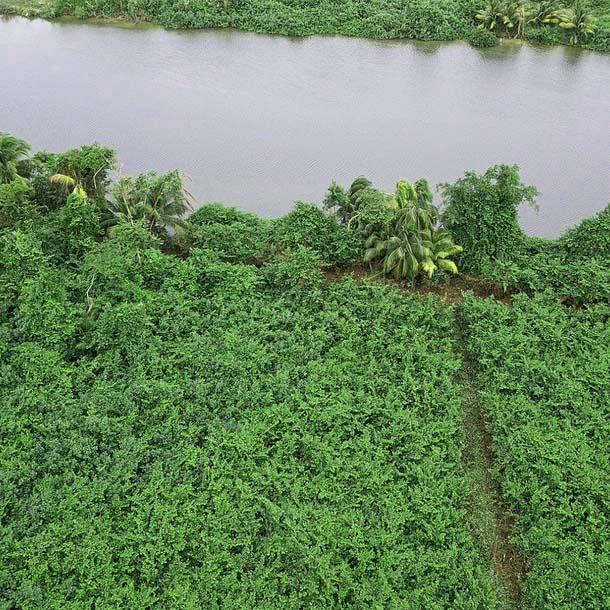 Sittee River View Acreage — photo 2