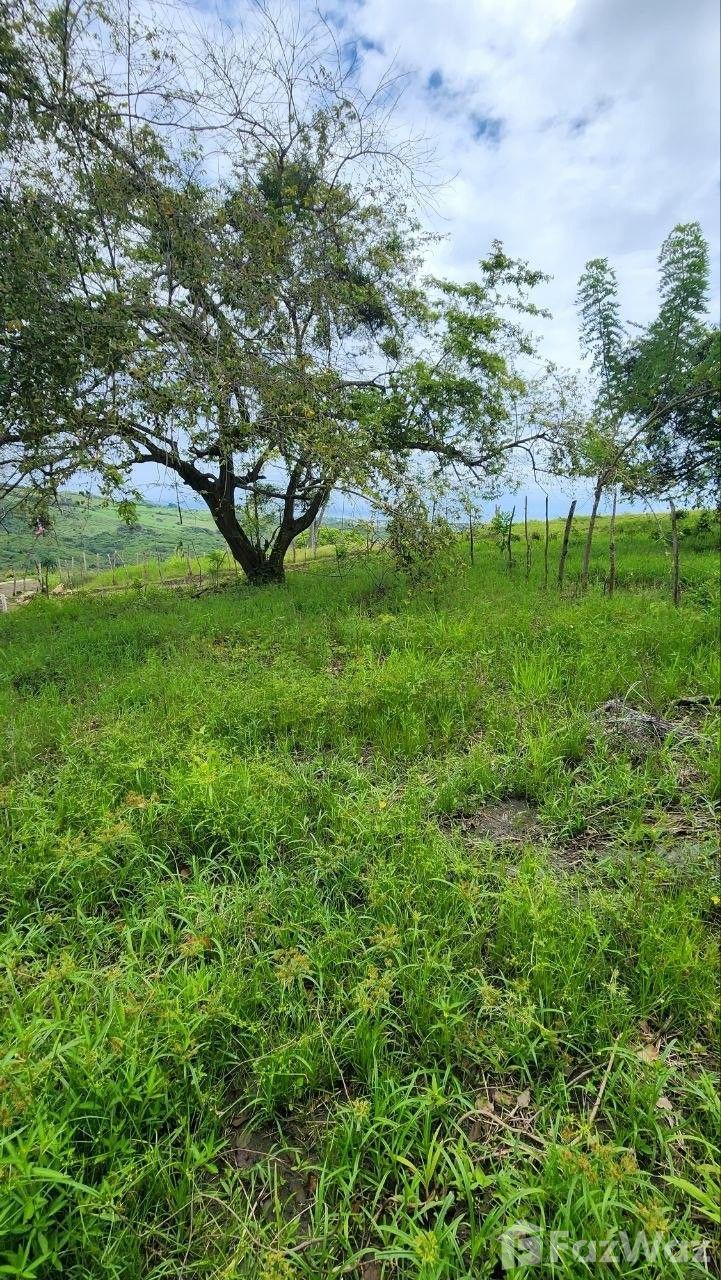 Live Between the Sea and the Mountains in Puerto Plata — photo 5