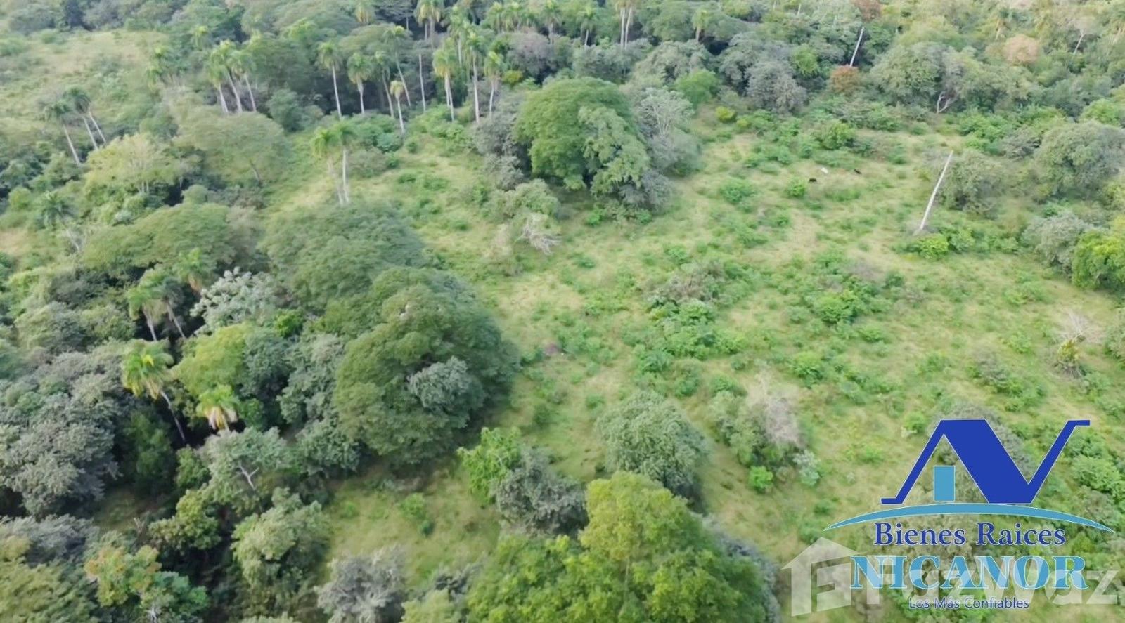 Cattle ranch for sale of 1,150 tareas in Guananico — photo 3