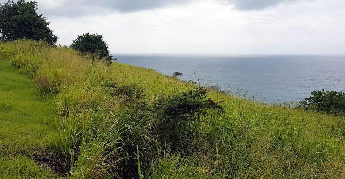 5 Acres of Development Land for Sale, Palmetto Bay, St Kitts — photo 1