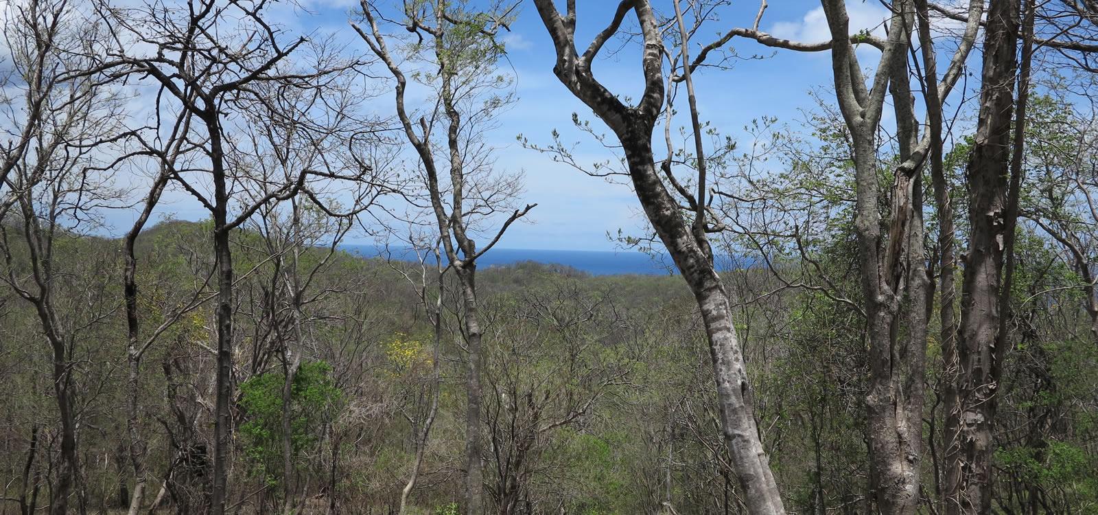 0.89 Acre Lot of Land for Sale in Rancho Santana, Nicaragua — photo 1
