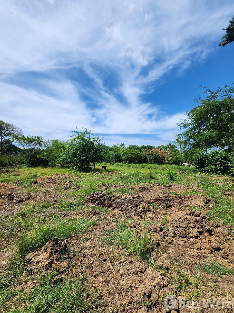 Land for sale in Muñoz, Puerto Plata — photo 5