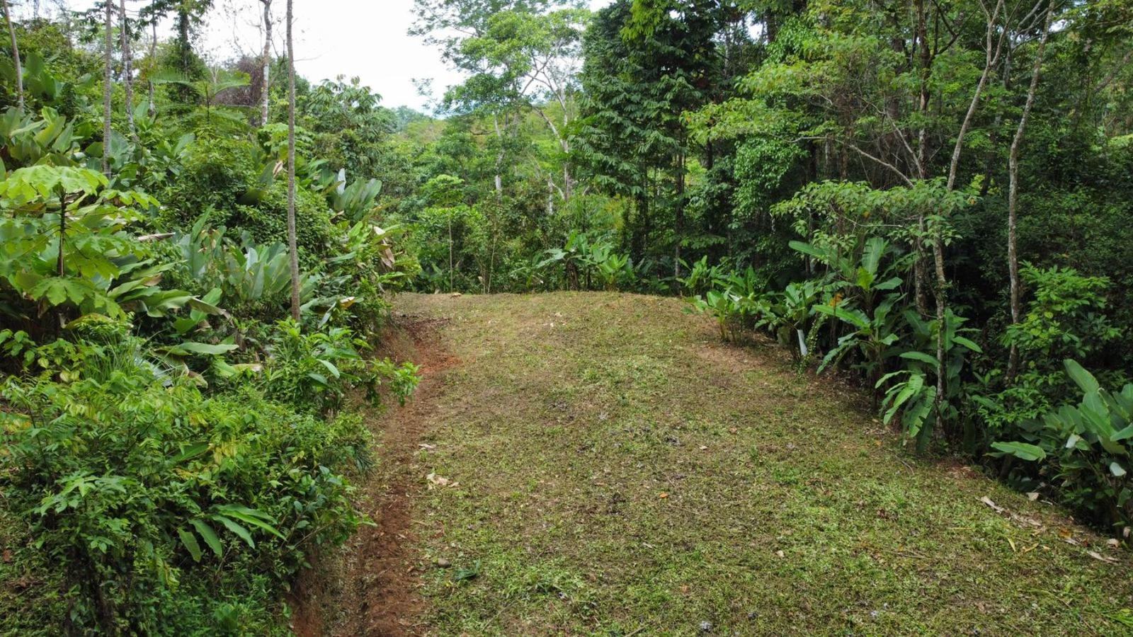 17 Acres of Land for Sale, Uvita, Puntarenas, Costa Rica — photo 4