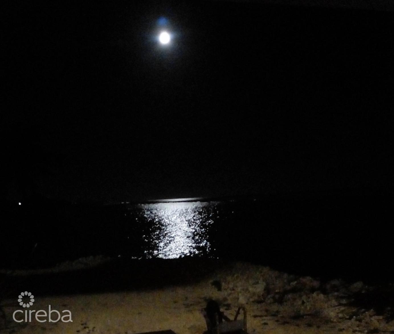 Vida Vistas - 0.62 Acre Oceanfront Land for Sale in Cayman Brac — photo 5