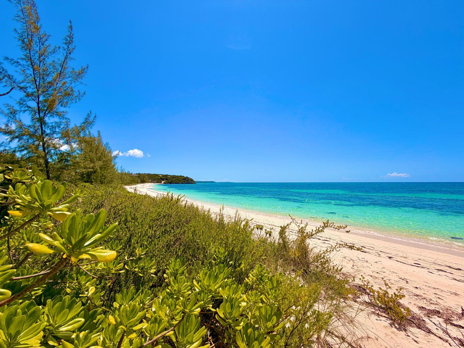28.7 acres on Flamingo Bay Beach — photo 2