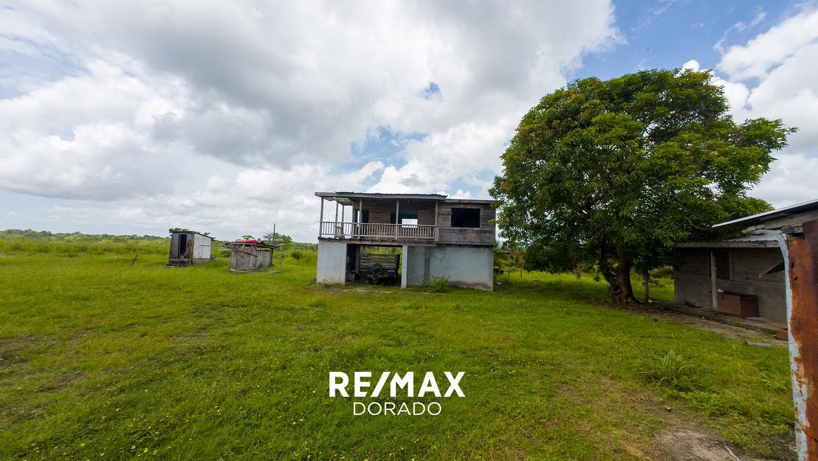339 Acres of Prime Income-Producing Farmland on the Southern Highway — photo 4
