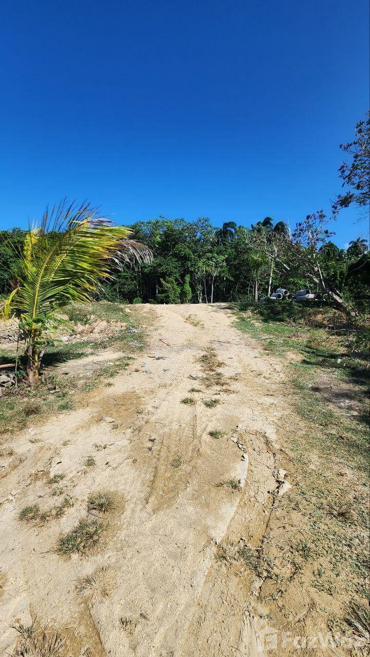 Residential land plot in San Felipe De Puerto Plata — photo 4