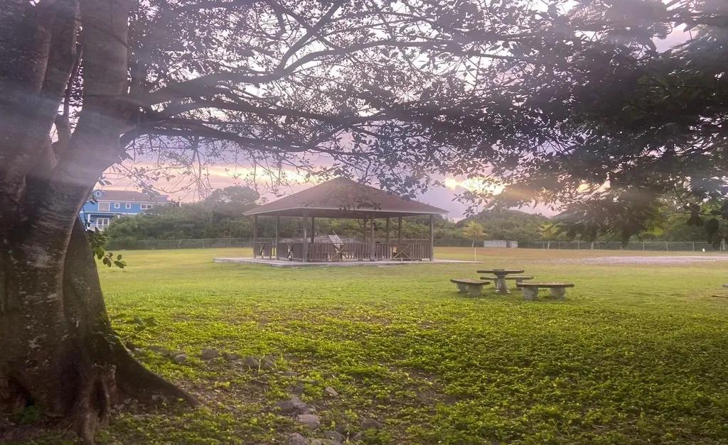 Lot 5 Residential land in Jacaranda, Paradise Island — photo 5