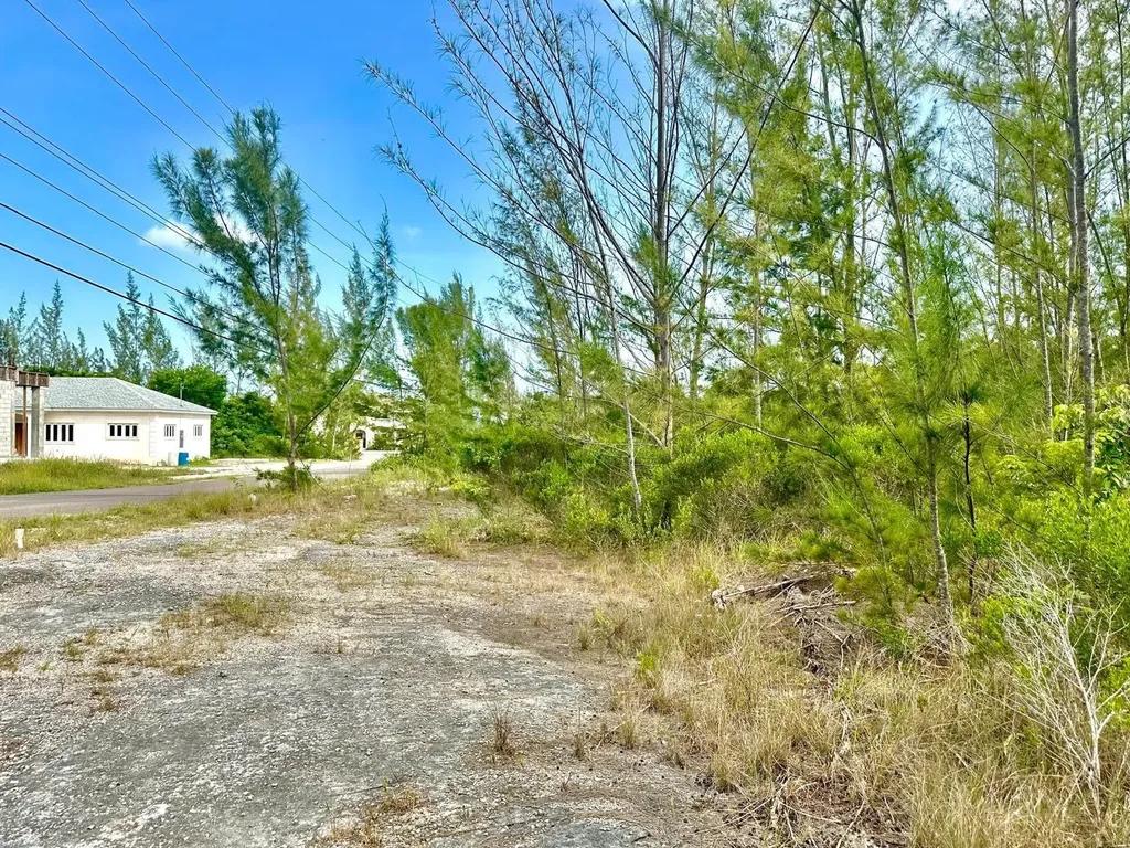 Multifamily land lot in Paradise Island — photo 5
