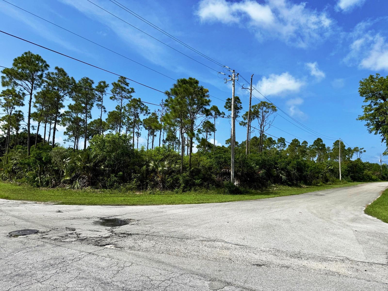 Golf Course Development Opportunity - Bahamia North — photo 4