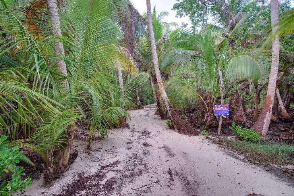 Beautiful Beach front opportunity — photo 4