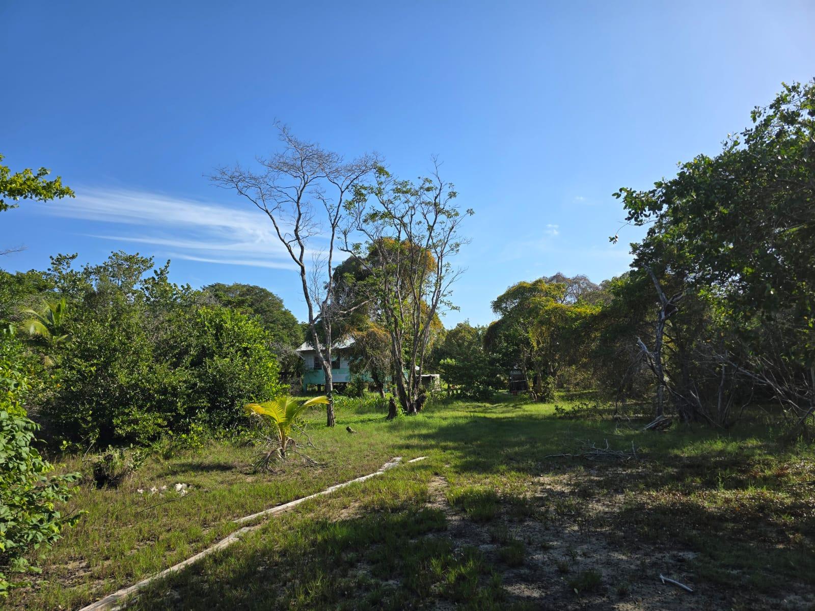 10 acres in Glorious Punta Ycacos — photo 5