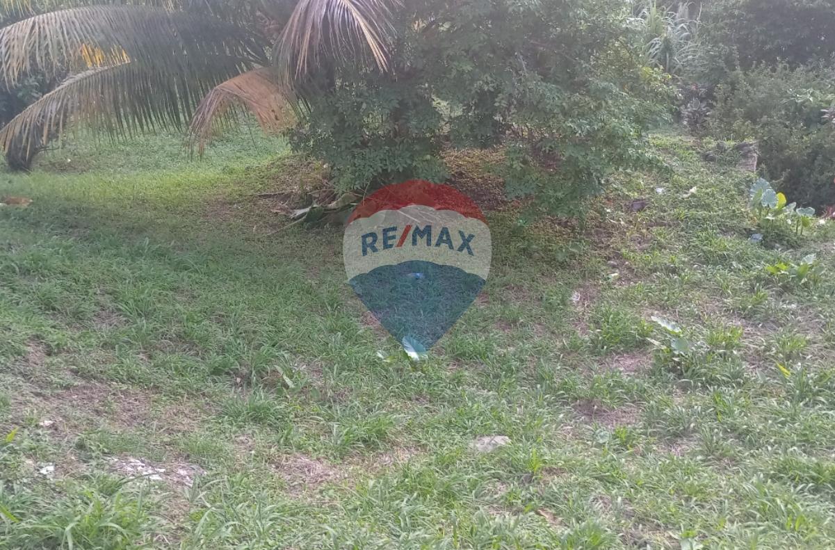 GOMEA RESIDENTIAL LOT — photo 4