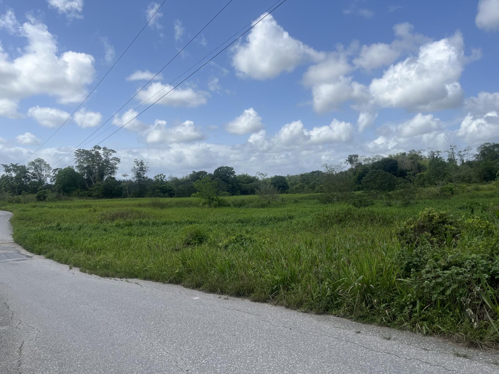 Las Lomas Five Acre Residential Parcel — photo 1