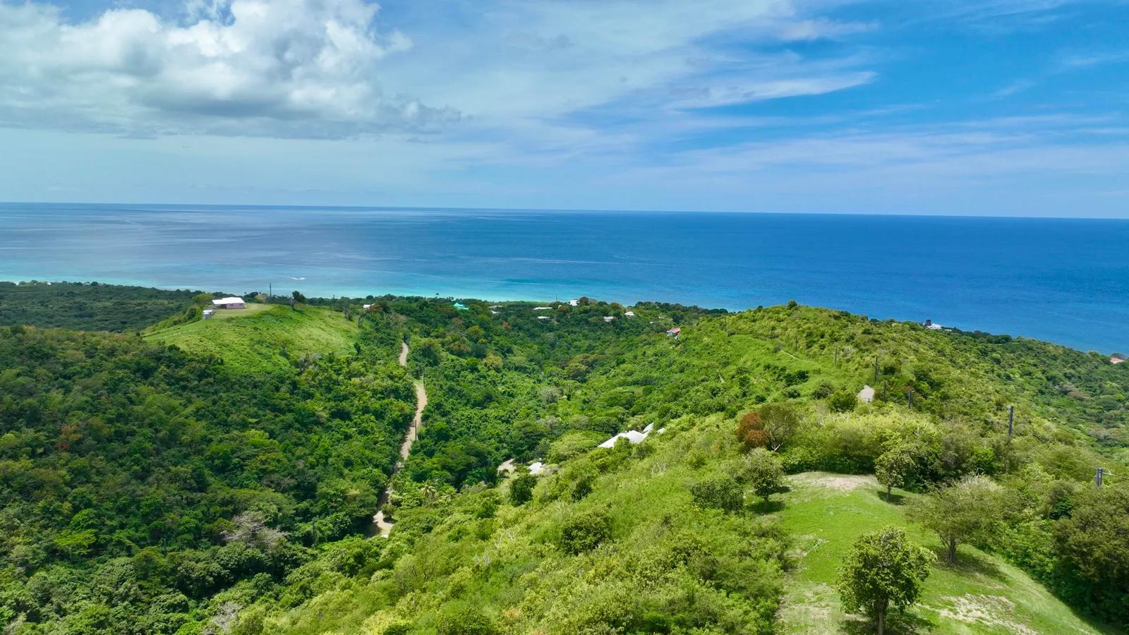 28.02 Acre Lot Mt. Washington Na, St. Croix — photo 5