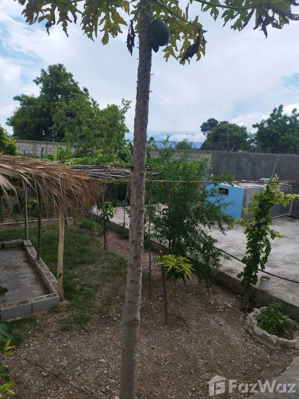 3 Bedroom House for Sale in Cabral, Barahona — photo 2