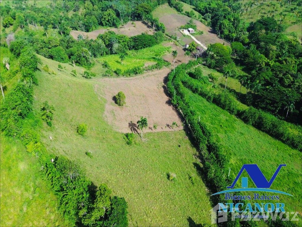Cattle ranch for sale in Puerto Plata, 278 tareas — photo 3