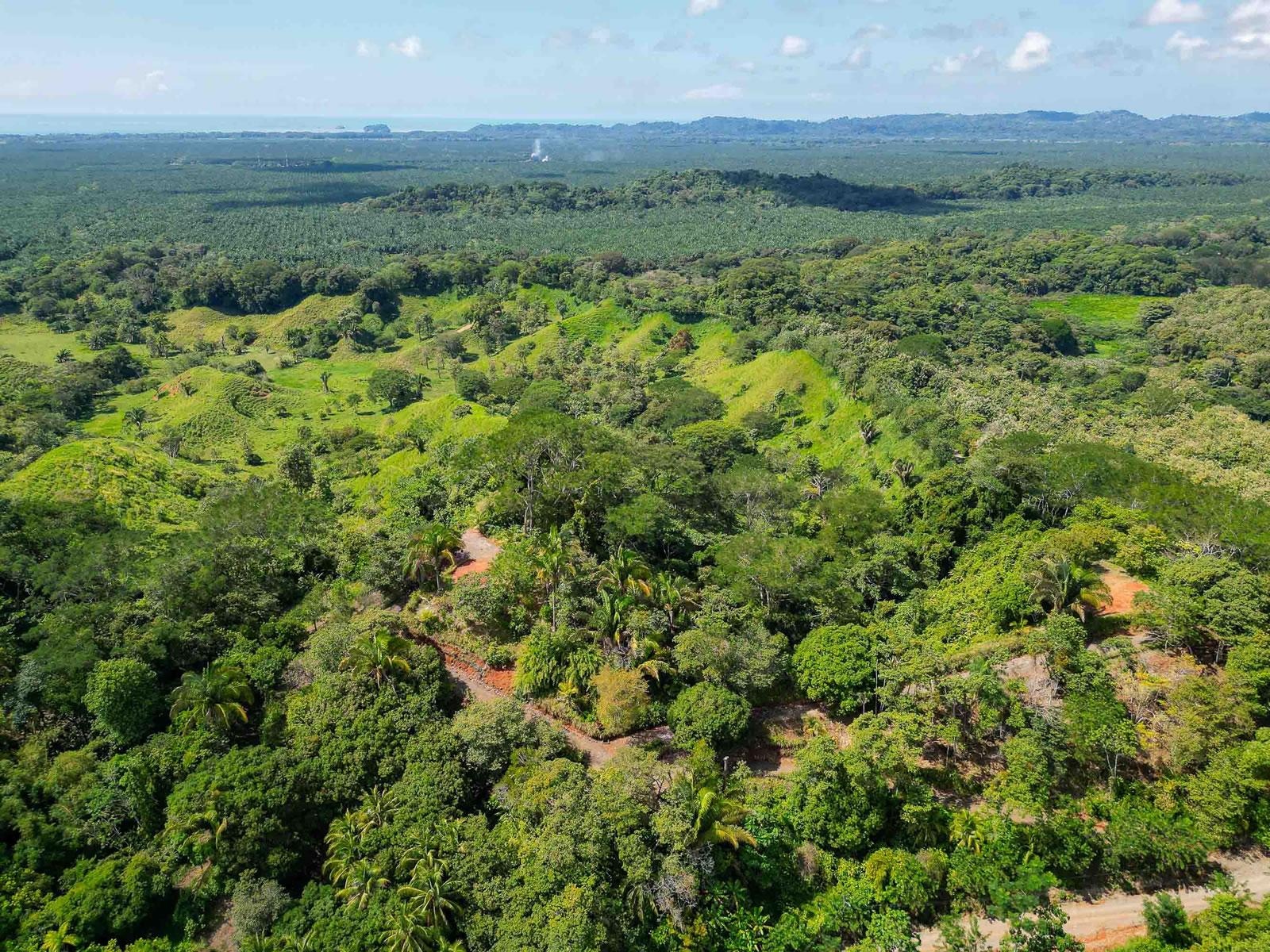 44,000 Sq M of Land for Sale, Londres / Quepos, Puntarenas, Costa Rica — photo 2