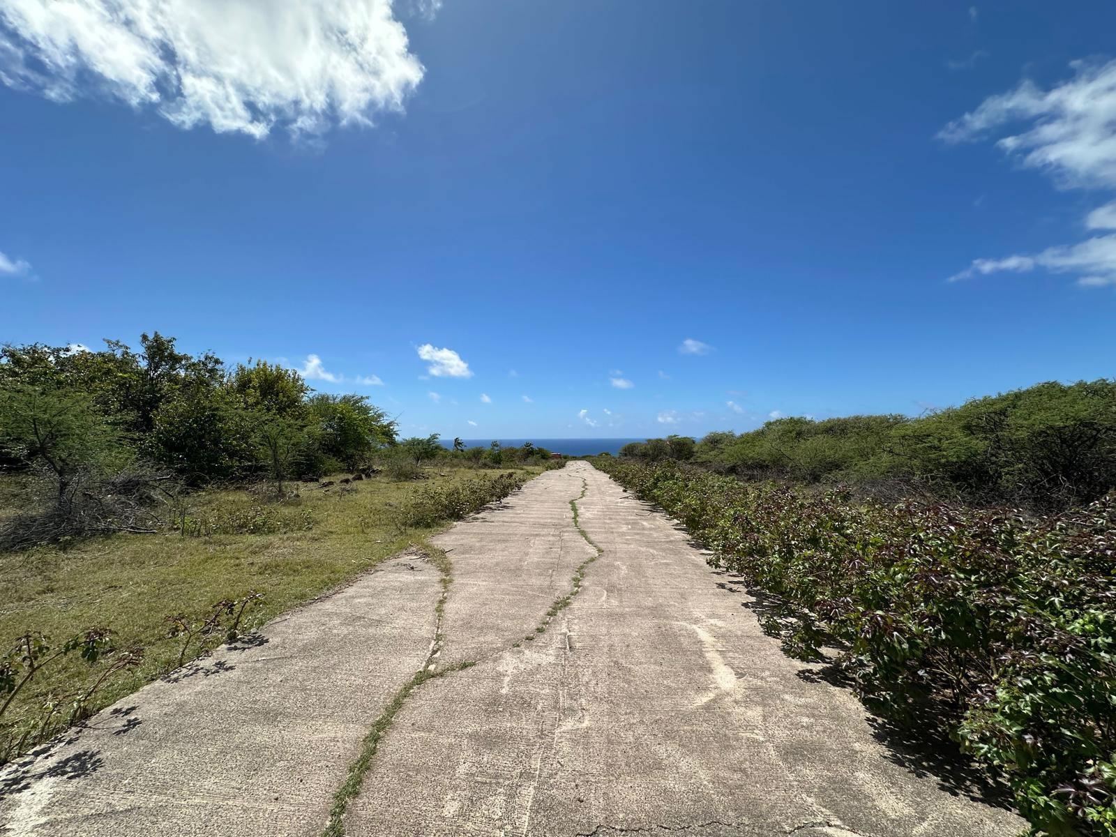 1 Acre Lot for Sale, Busch Hill, Nevis — photo 3