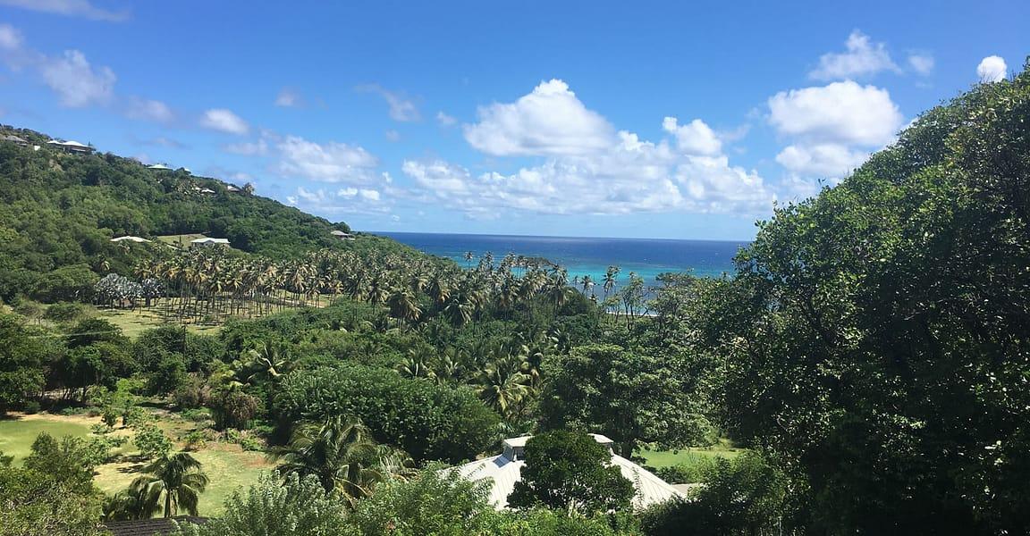 12.4 Acre Boutique Hotel for Sale, Spring Estate, Bequia — photo 2