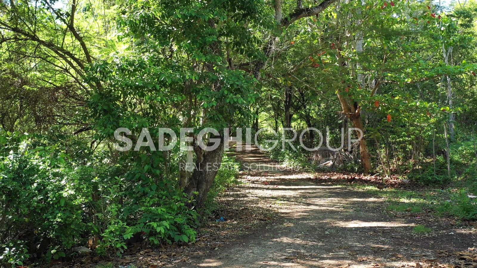 Breathtaking Land For Sale In El Choco Sosua — photo 2