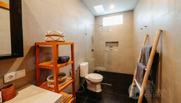 3 Bedroom Villa in Canggu for Rent — photo 5