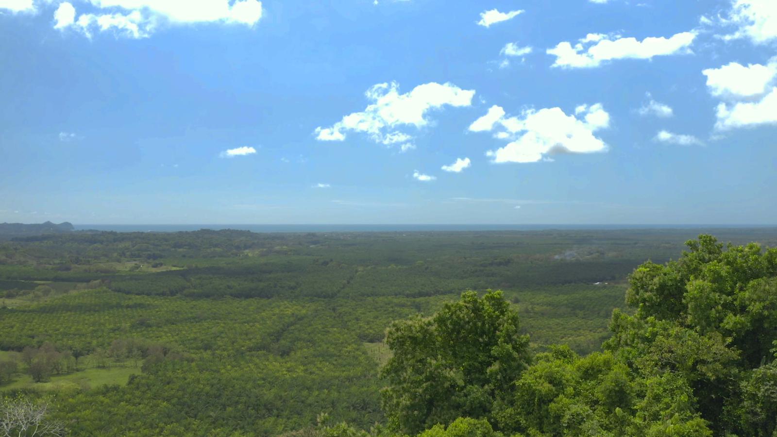 286 Acres of Land for Sale, Naranjito, Puntarenas, Costa Rica — photo 2
