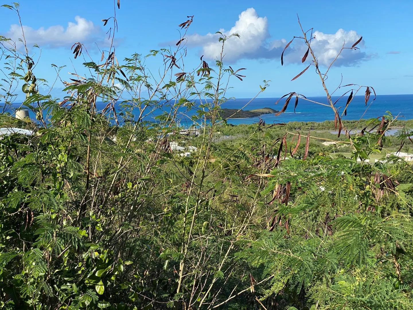 Homesite with Buck Island & Green Cay views — photo 3