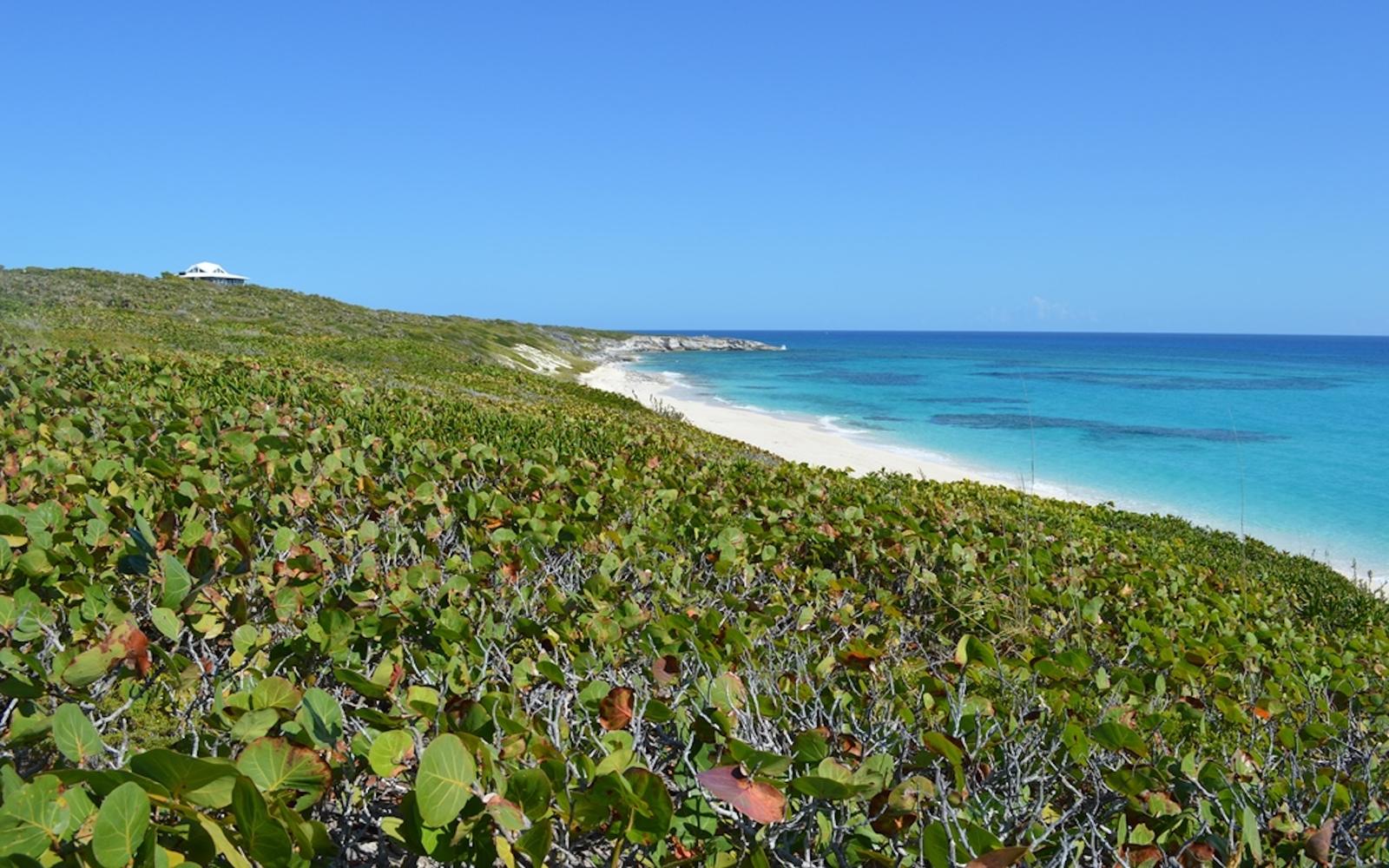 2.1 Acre Beachfront Parcel with Dockage - MLS 66225 — photo 1