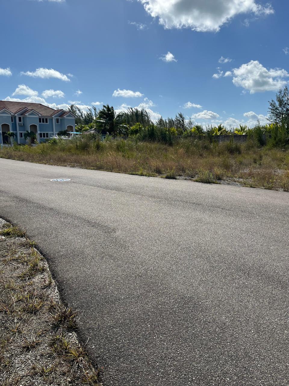 CEDAR STREET — photo 4