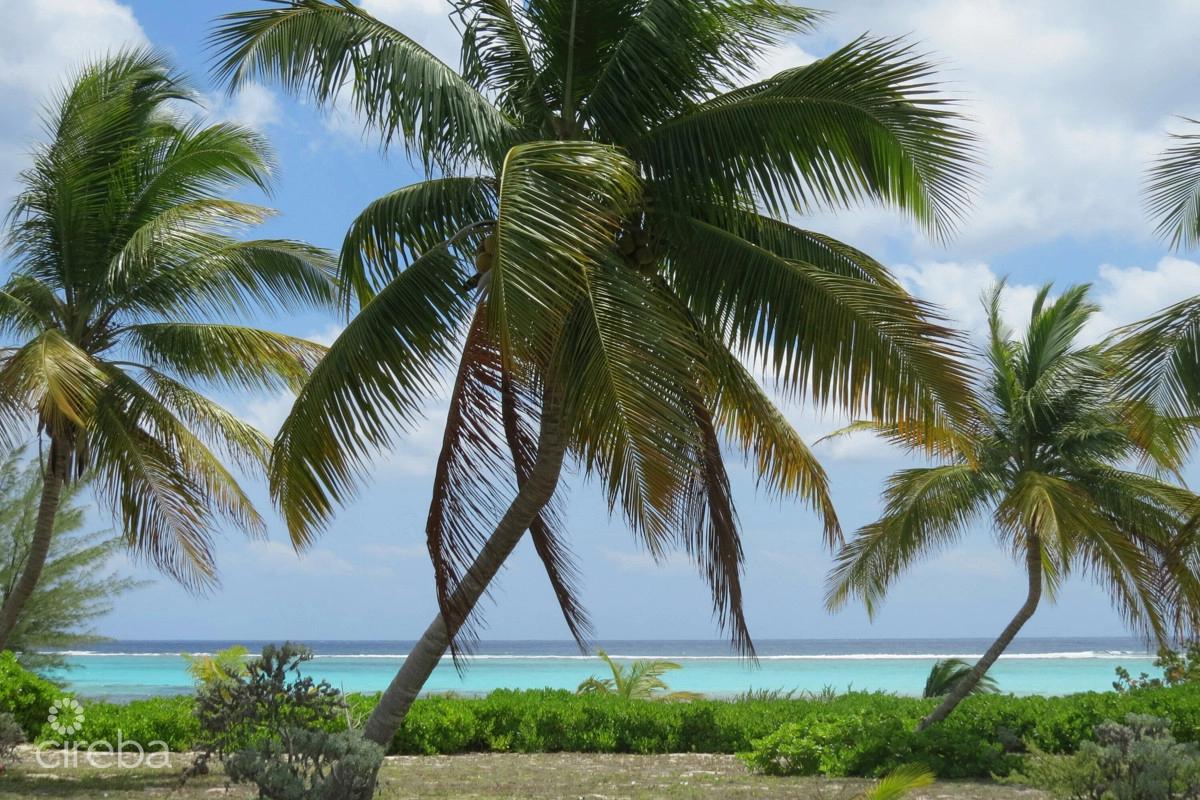 Prime Beachfront Land in the Cayman Islands — photo 3