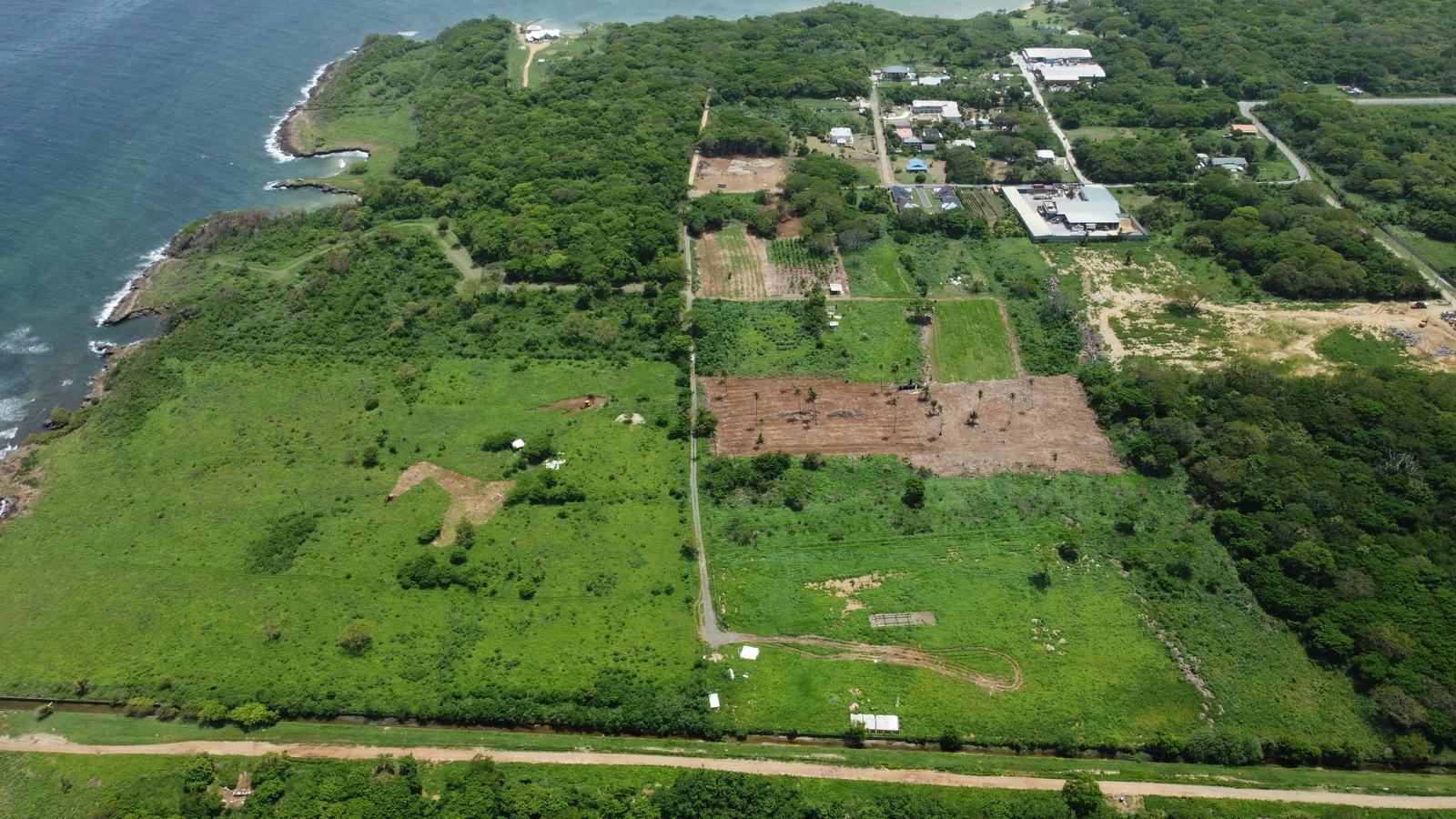 5 Acres of Prime Tobago Land For Sale Near to Cove Reef — photo 5