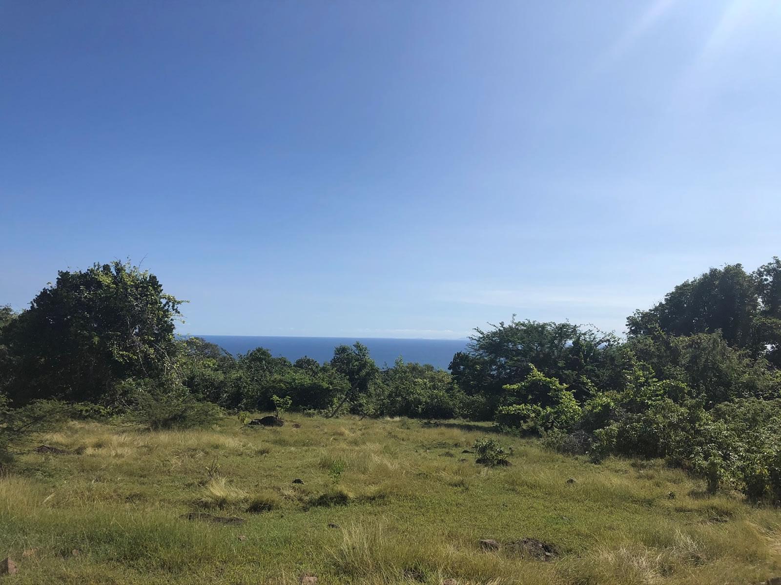 14 Acres Development Land in Gingerland, Nevis — photo 3