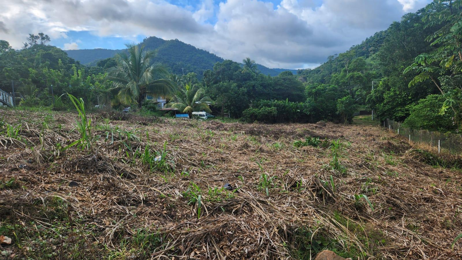 Land for sale Lopinot 4 lots — photo 3