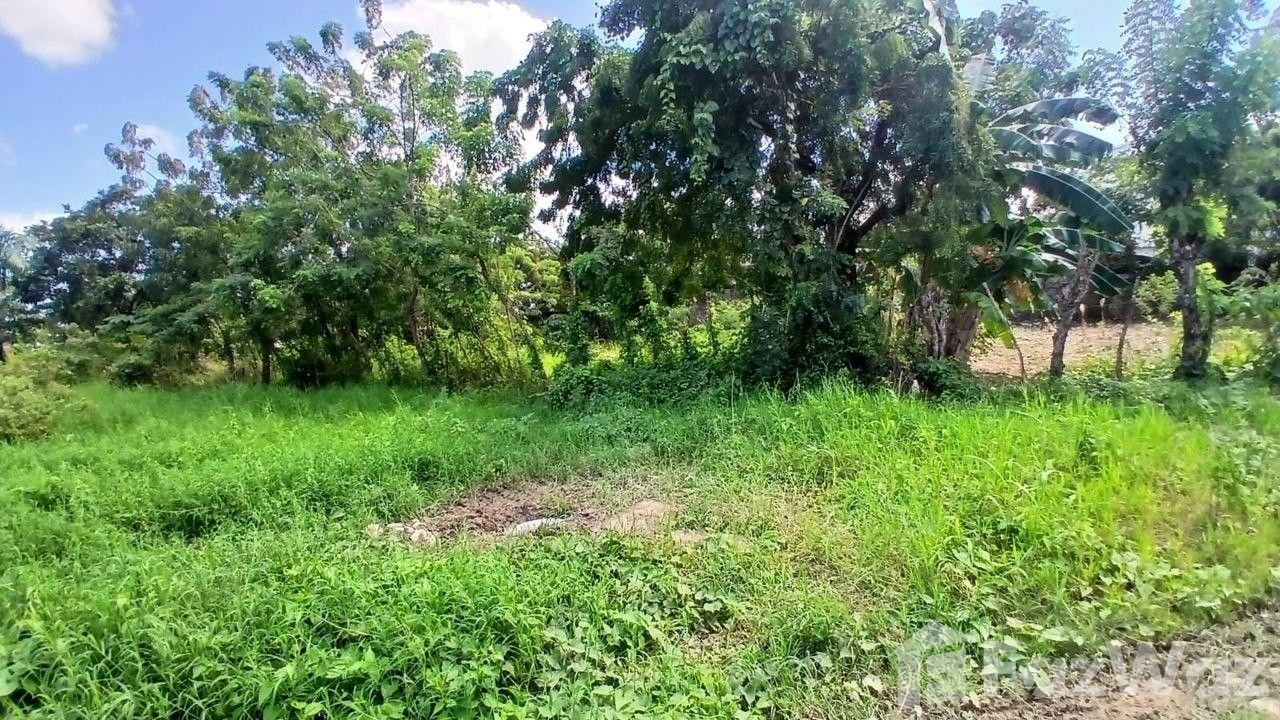LAND FOR SALE IN RESIDENTIAL CERRO VERDE, PUERTO PLATA. — photo 5