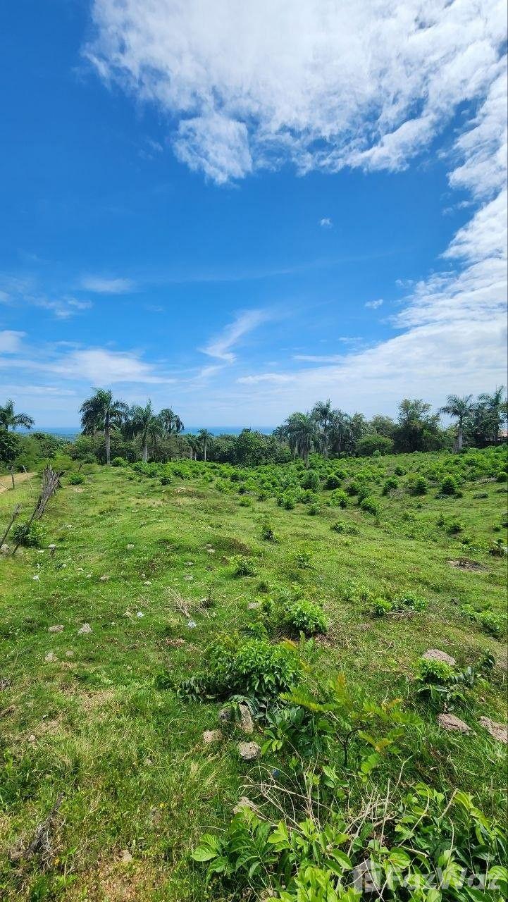 10,000 SqM Land Plot for Sale in San Felipe De Puerto Plata, Dominican Republic — photo 2