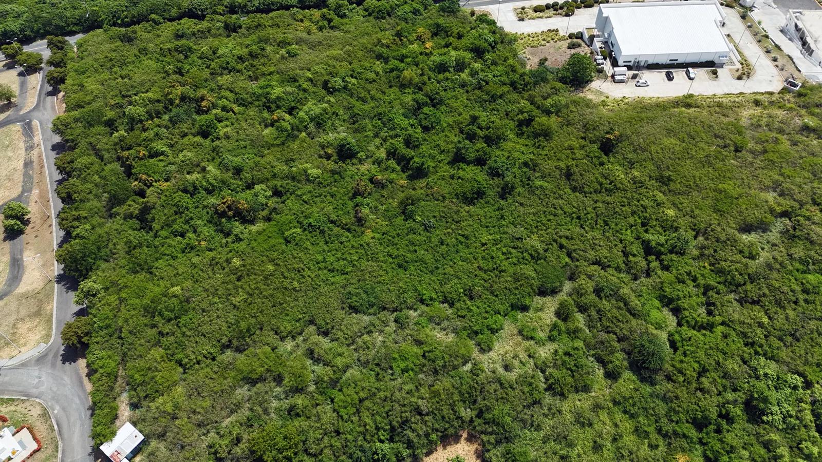 5.61 Acre B-2 Zoned Land Lot Across from Lindquist Bay — photo 5